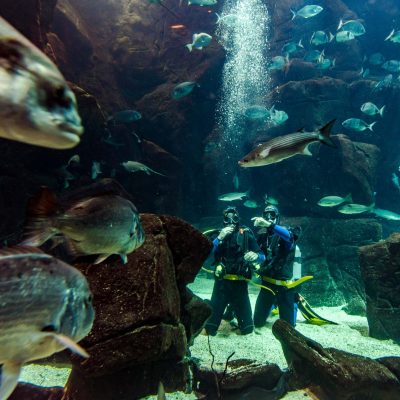 aqua-natura-madeira-hotel-fotografia-comercial-10